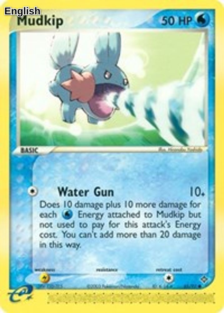 Mudkip